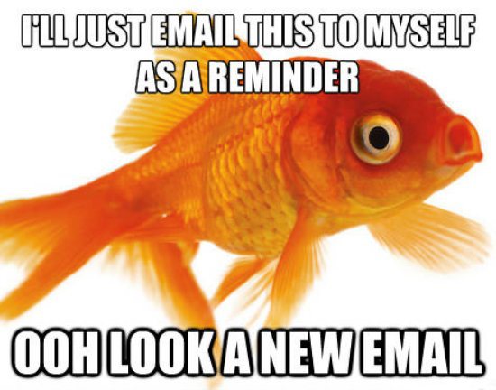 I'll just mail this to myself as a reminder.... Ooh look a new email