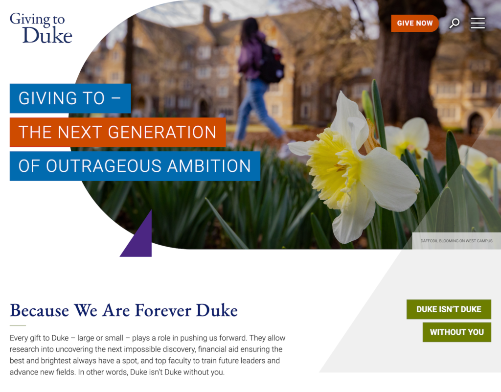Screenshot of Giving to Duke Website